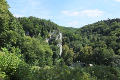 Zamek w Ojcowie Zamek w Ojcowie