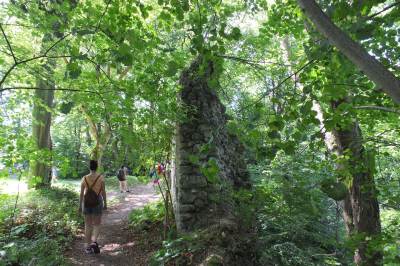 Zamek w Ojcowie Zamek w Ojcowie