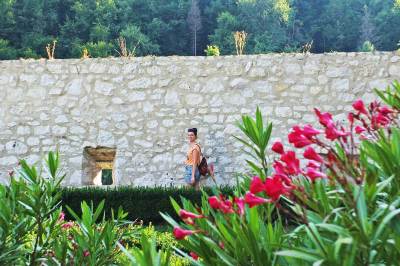 Zamek w Pieskowej Skale Zamek w Pieskowej Skale