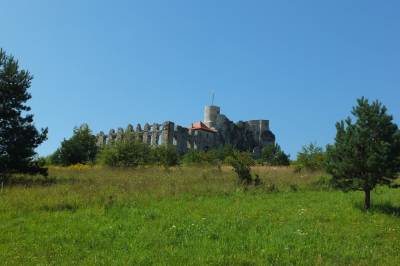 Zamek w Rabsztynie Zamek w Rabsztynie