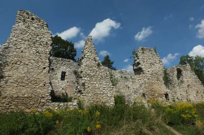 Zamek w Bydlinie Zamek w Bydlinie