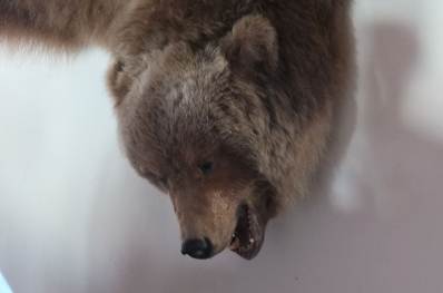 Zamek w Bobolicach Zamek w Bobolicach