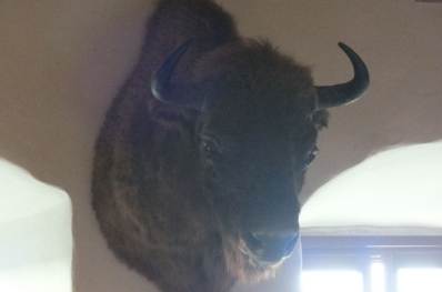 Zamek w Bobolicach Zamek w Bobolicach