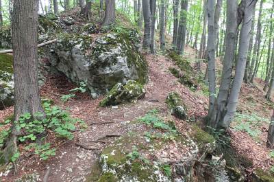 Zamek Ostrężnik Zamek Ostrężnik