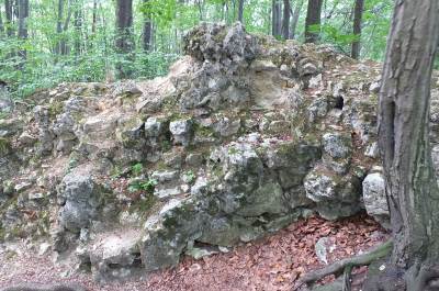 Zamek Ostrężnik Zamek Ostrężnik