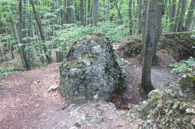 Zamek Ostrężnik Zamek Ostrężnik