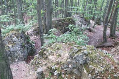 Zamek Ostrężnik Zamek Ostrężnik