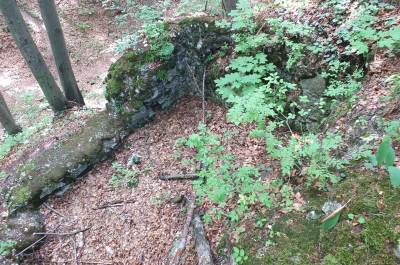 Zamek Ostrężnik Zamek Ostrężnik