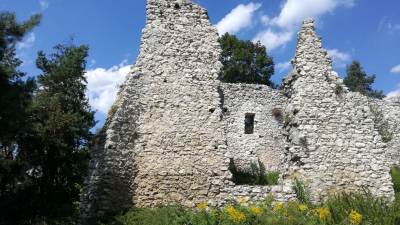 Zamek w Bydlinie Zamek w Bydlinie