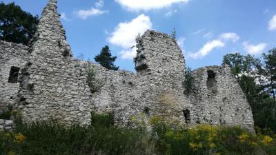 Zamek w Bydlinie Zamek w Bydlinie