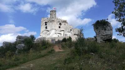 Zamek w Mirowie Zamek w Mirowie