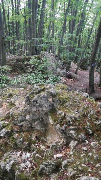 Zamek Ostrężnik Zamek Ostrężnik