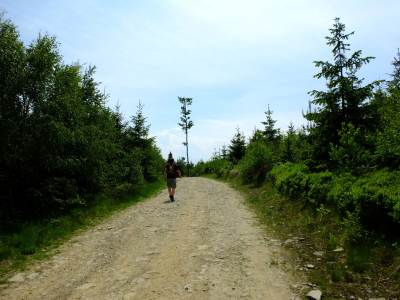 Magurka Wilkowicka Magurka Wilkowicka