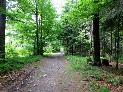 Hrobacza Łąka Hrobacza Łąka