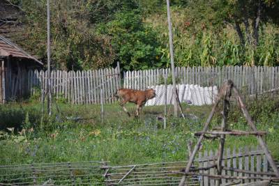 ZŁOMBOL 2018, CĂPĂȚÂNENII – ΚΆΜΠΟΣ ZŁOMBOL 2018, CĂPĂȚÂNENII – ΚΆΜΠΟΣ