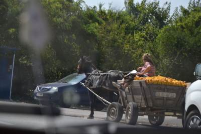 ZŁOMBOL 2018, CĂPĂȚÂNENII – ΚΆΜΠΟΣ ZŁOMBOL 2018, CĂPĂȚÂNENII – ΚΆΜΠΟΣ