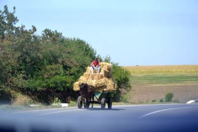 ZŁOMBOL 2018, CĂPĂȚÂNENII – ΚΆΜΠΟΣ ZŁOMBOL 2018, CĂPĂȚÂNENII – ΚΆΜΠΟΣ