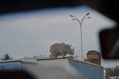ZŁOMBOL 2018, CĂPĂȚÂNENII – ΚΆΜΠΟΣ ZŁOMBOL 2018, CĂPĂȚÂNENII – ΚΆΜΠΟΣ