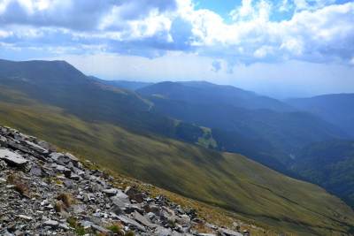 Transalpina Transalpina