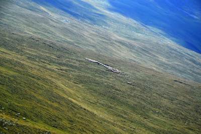 Transalpina Transalpina