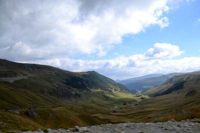 Transalpina Transalpina