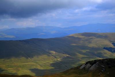 Transalpina Transalpina
