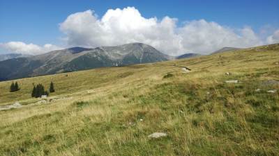 Transalpina Transalpina