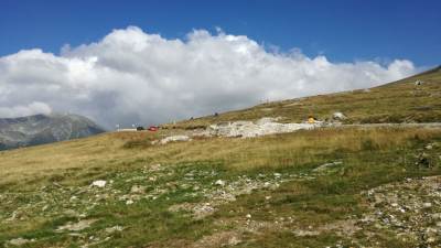 Transalpina Transalpina