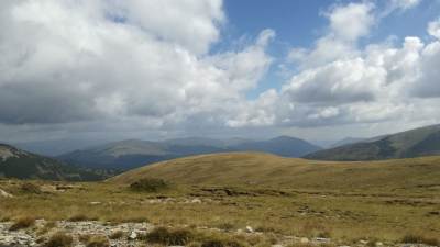 Transalpina Transalpina