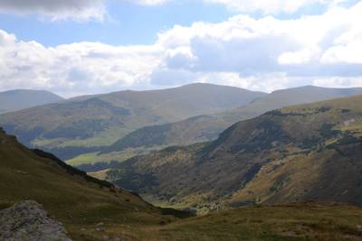 Transalpina Transalpina