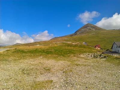 Transalpina Transalpina