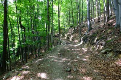 Góra Żar Góra Żar