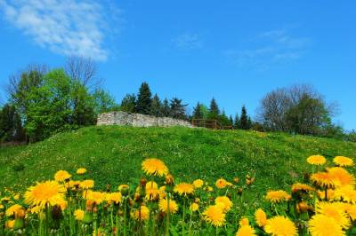 Zamek Biskupi w Sławkowie Zamek Biskupi w Sławkowie