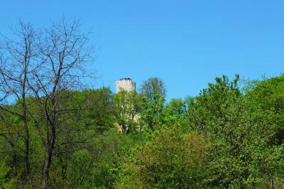 Zamek Lipowiec w Babicach Zamek Lipowiec w Babicach