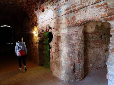 Zamek Lipowiec w Babicach Zamek Lipowiec w Babicach