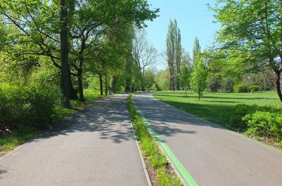 Zamek Sielecki w Sosnowcu Zamek Sielecki w Sosnowcu