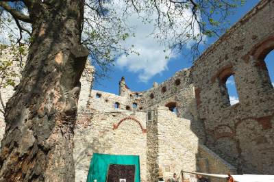 Orle Gniazda Orle Gniazda