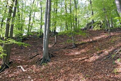 Zamek Udórz Zamek Udórz