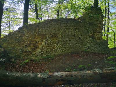 Zamek Udórz Zamek Udórz