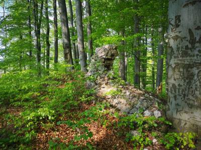 Zamek Udórz Zamek Udórz