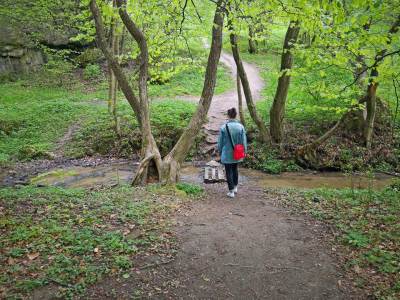 Dolina Kluczwody Dolina Kluczwody