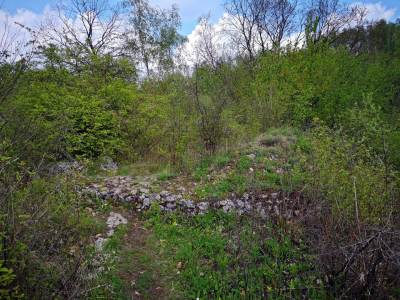 Zamek w Białym Kościele, w Dolinie Kluczwody Zamek w Białym Kościele, w Dolinie Kluczwody