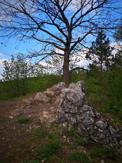 Zamek w Białym Kościele, w Dolinie Kluczwody Zamek w Białym Kościele, w Dolinie Kluczwody