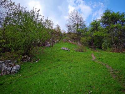 Zamek w Białym Kościele, w Dolinie Kluczwody Zamek w Białym Kościele, w Dolinie Kluczwody