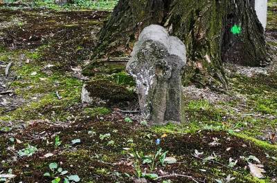 Żory, stary cmentarz przy kościele Pw. Św. Filipa I Jakuba Żory, stary cmentarz przy kościele Pw. Św. Filipa I Jakuba