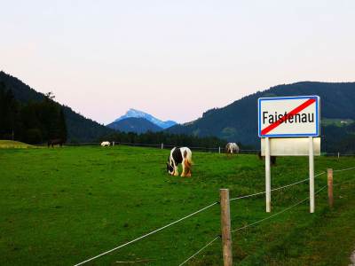 Faistenau Faistenau