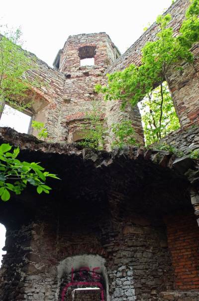 Pałac Tarłów w Podzamczu Pałac Tarłów w Podzamczu