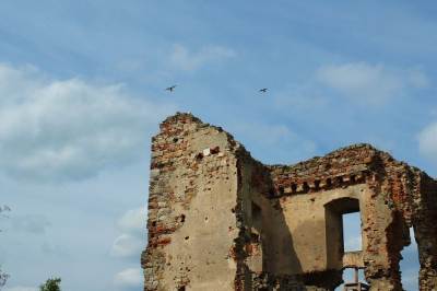 Pałac Tarłów w Podzamczu Pałac Tarłów w Podzamczu