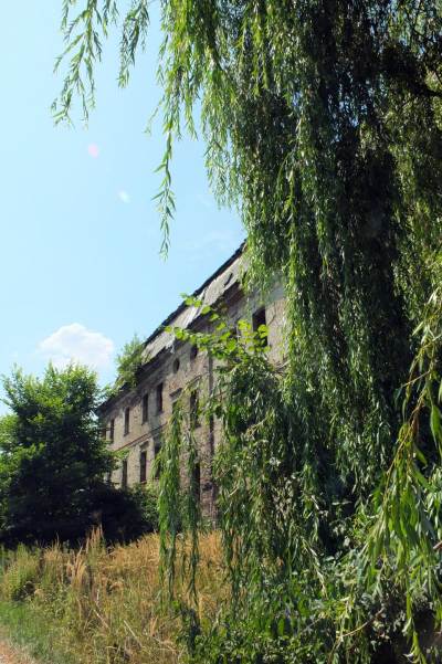 Pałac w Bycinie Pałac w Bycinie