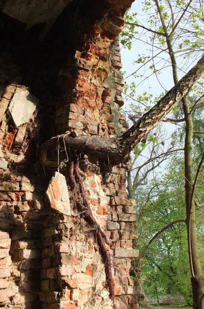 Pałac w Rożnicy Pałac w Rożnicy